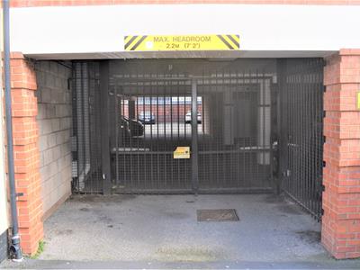 Picture 12